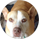 CLAUDIA ERGLIS NEURAL THERAPY profile picture